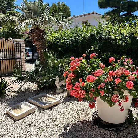 Acquazzurra Bisceglie